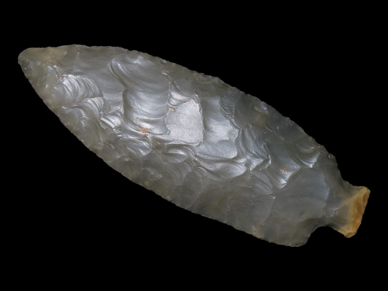 AMAZING 4 5/8" BENTON BOTTLENECK / ELK RIVER, DICKEY COA,  TODD COUNTY KENTUCKY, VERY WELL FLAKED (1 of 5)