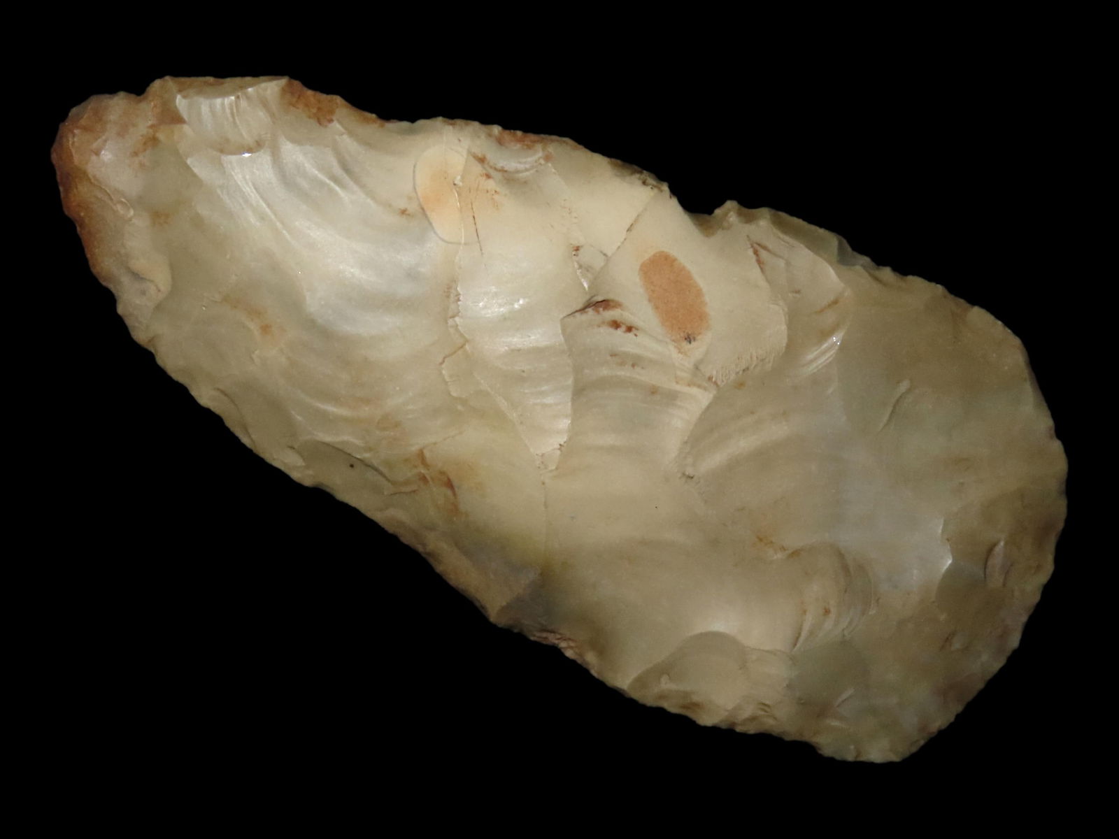 MASSIVE 7" TEXAS BLADE, TRAVIS COUNTY TX, MOTLEY COA, NICE EARLY EXAMPLE, THIN FOR THE SIZE AND (1 of 5)