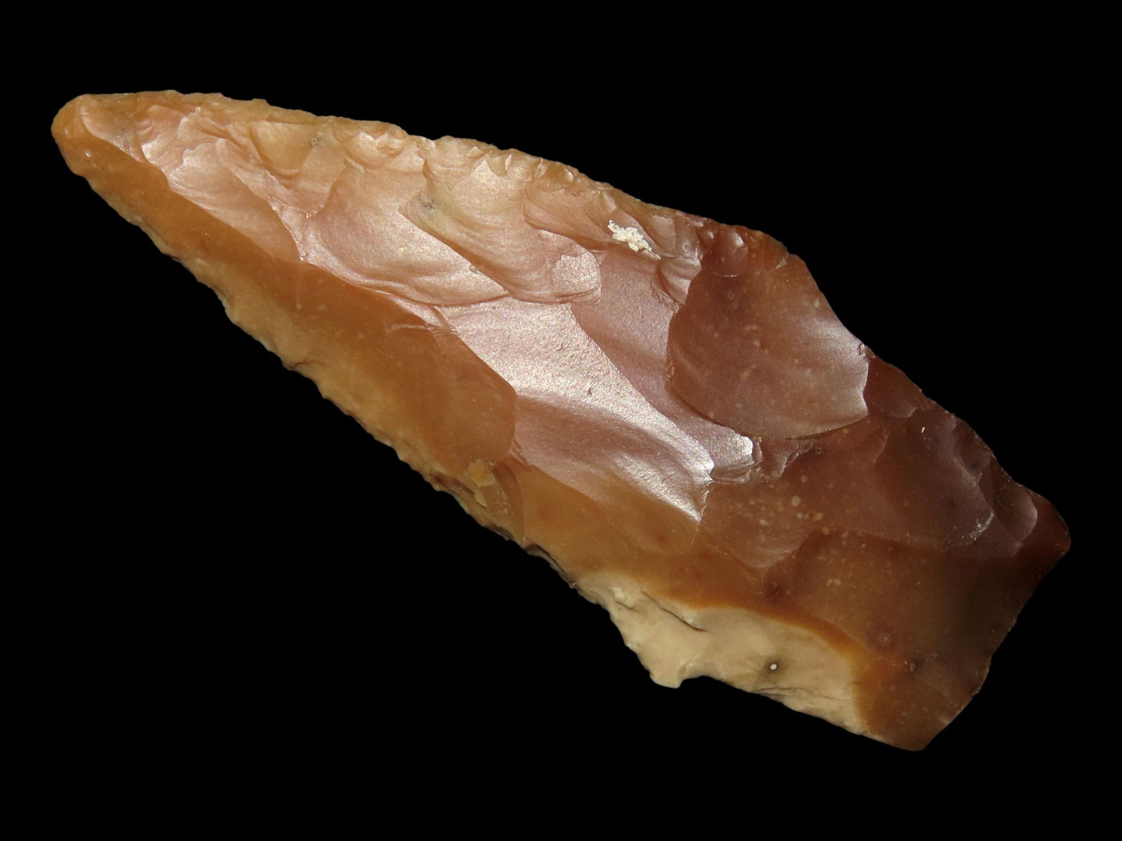 2 3/4" SCOTTSBLUFF, LINCOLN COUNTY COLORADO, MOTLEY COA, BEAUTIFUL GOLD & TAN AGATE, HIGHLY (1 of 5)