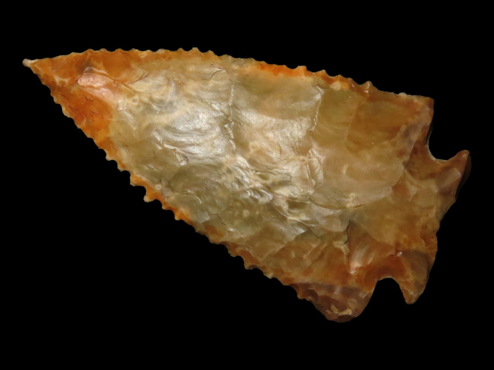 PHENOMENAL 3" FRACTURED BASE DECATUR, LAUDERDALE COUNTY ALABAMA, MOTLEY COA, DEADLY SERRATIONS, EX (1 of 5)