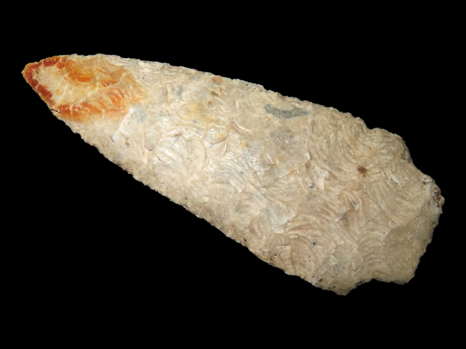 OUTSTANDING 5 1/2" SCOTTSBLUFF, ST CLAIR COUNTY ILLINOIS, MOTLEY COA, INCREDIBLE PARALLEL FLAKING, (1 of 5)