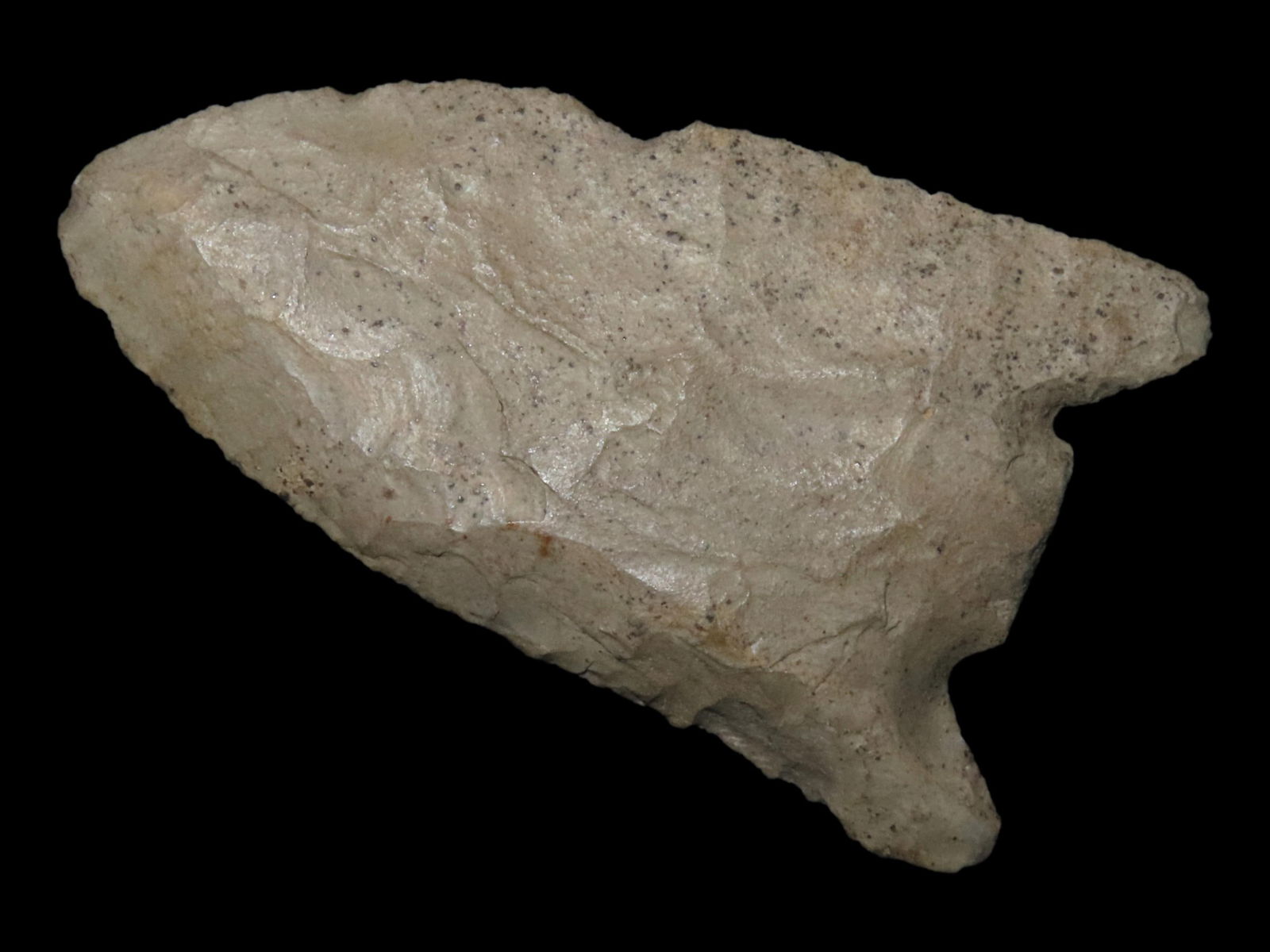 3 1/4" LOST LAKE / DOVETAIL, CHRISTIAN COUNTY KENTUCKY, ANCIENTLY SNAPPED BASE, GREAT DEPOSITS, WELL (1 of 4)