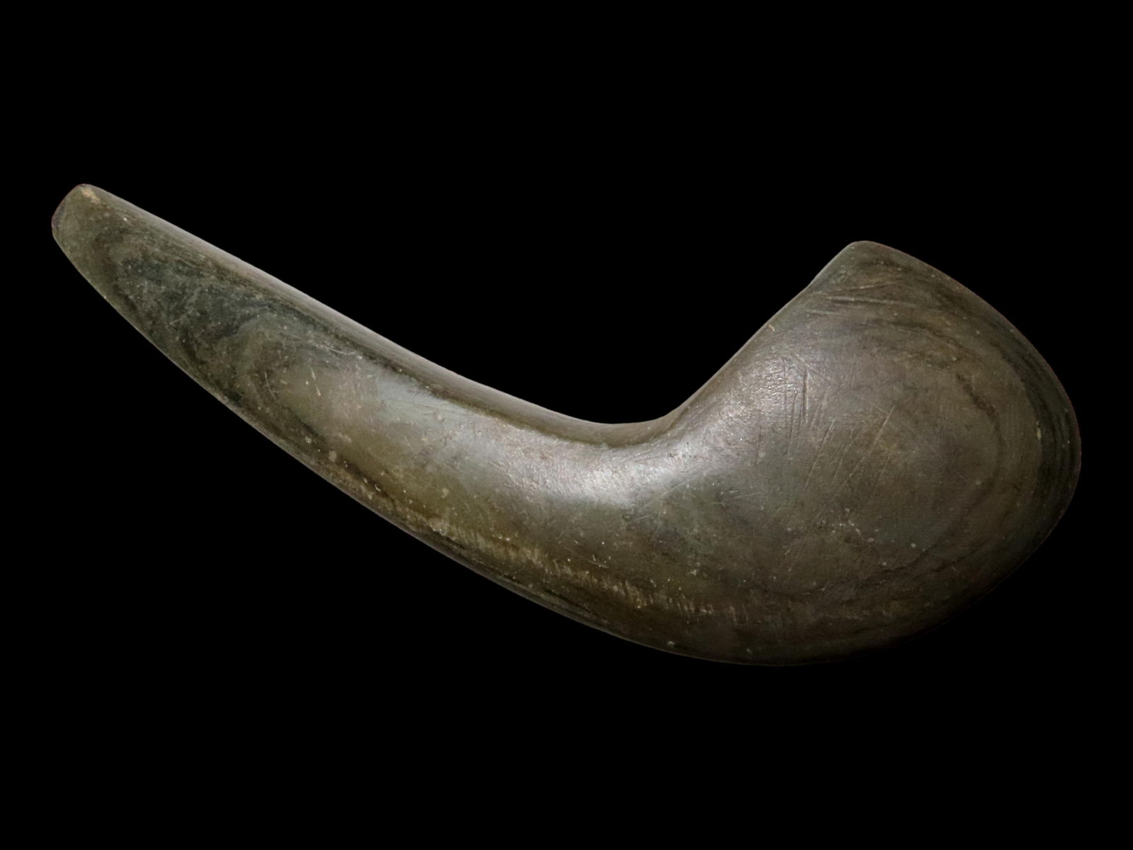 5" GENICULATE BANNERSTONE, DARKE COUNTY OHIO, MOTLEY COA, **RESTORED EDGE** EX FLOYD RITTER (1 of 4)