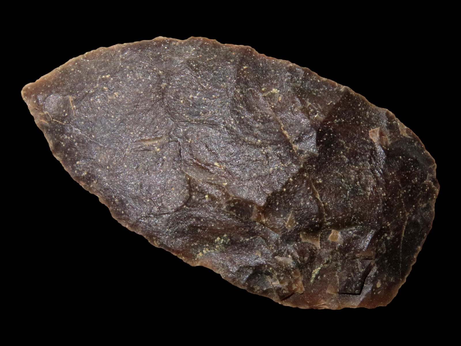 2 7/8" SPANISH DIGGINGS QUARTZITE EARLY LEAF BLADE, COLORADO, SEMI TRANSLUCENT, WELL FLAKED EXAMPLE (1 of 4)