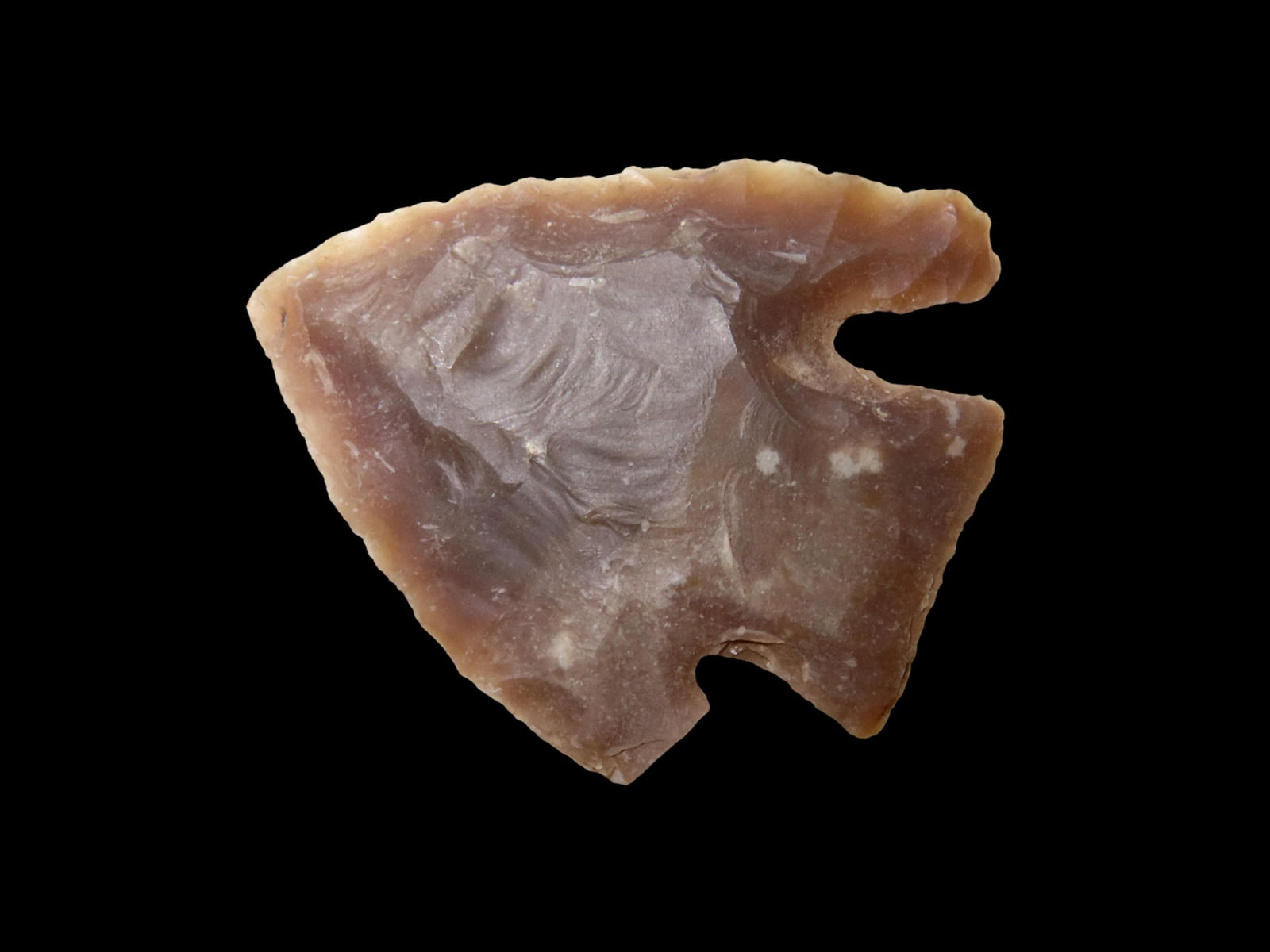 HIGHLY TRANSLUCENT 2" MARSHALL, KERR COUNTY TEXAS, VERY THIN WELL FLAKED EXAMPLE, INDIAN ARROWHEAD (1 of 4)