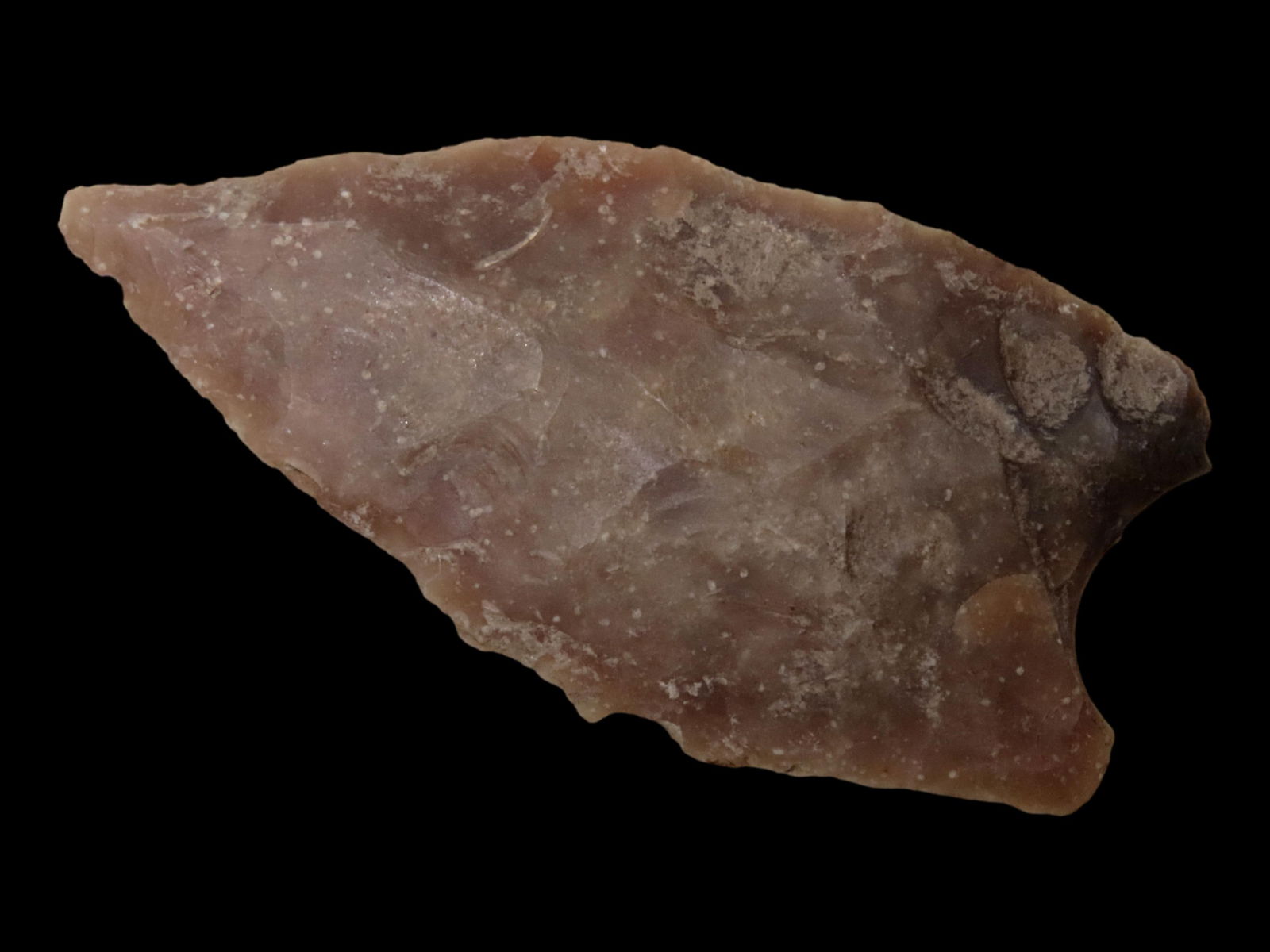 2 5/8" MESERVE / DALTON, GILLESPIE COUNTY TEXAS, MOTLEY COA, HIGHLY TRANSLUCENT EXAMPLE WITH HEAVY (1 of 5)