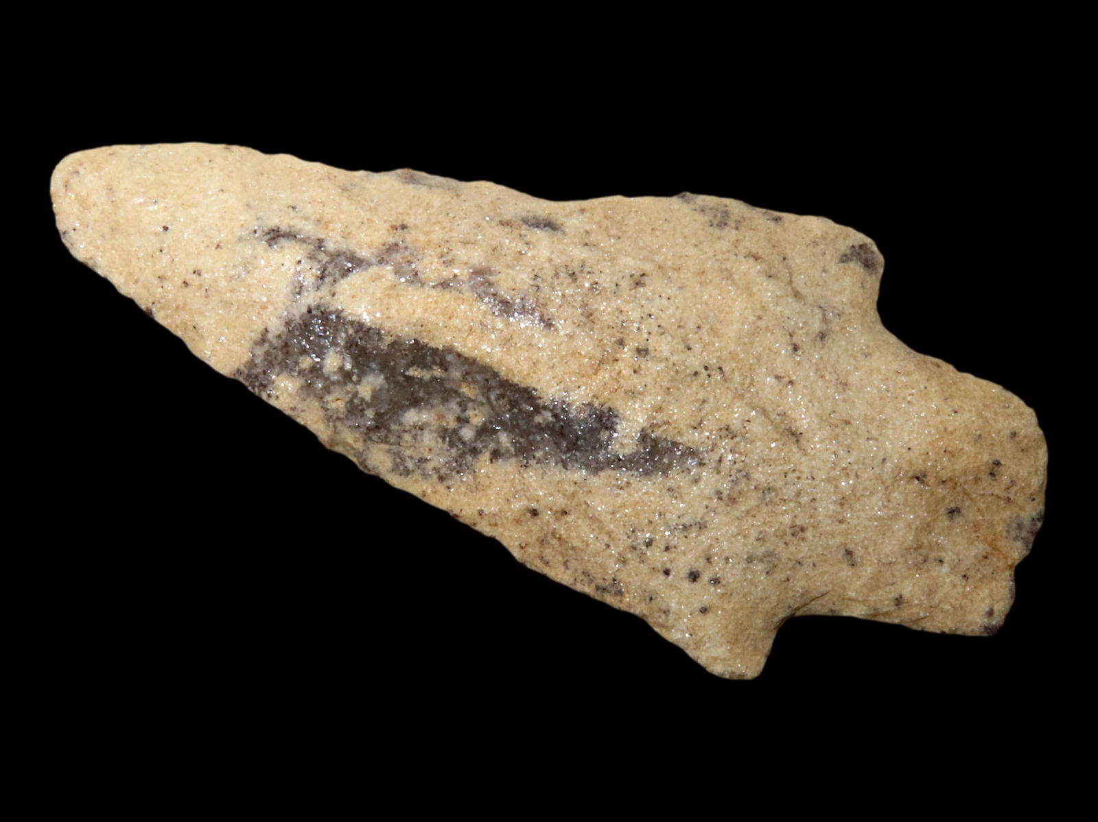 AMAZING 2 3/4" TALLAHATTA QUARTZITE PICKWICK, LAUDERDALE COUNTY ALABAMA, BEAUTIFUL COLORS & NO (1 of 4)