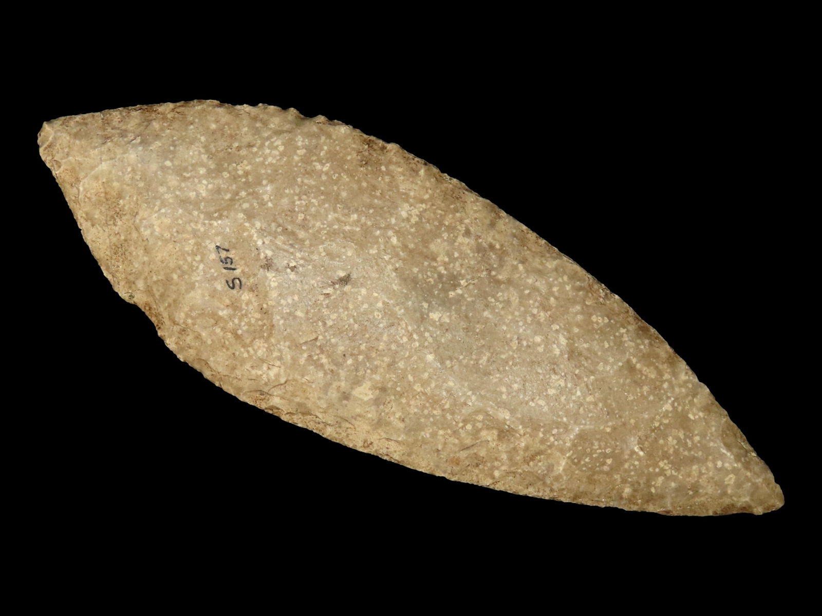 PHENOMENAL 7 7/8" AZTEC BLADE, MOTLEY COA, GREAT LARGE EXAMPLE WITH AMAZING FLAKING & WONDERFUL NO (1 of 5)