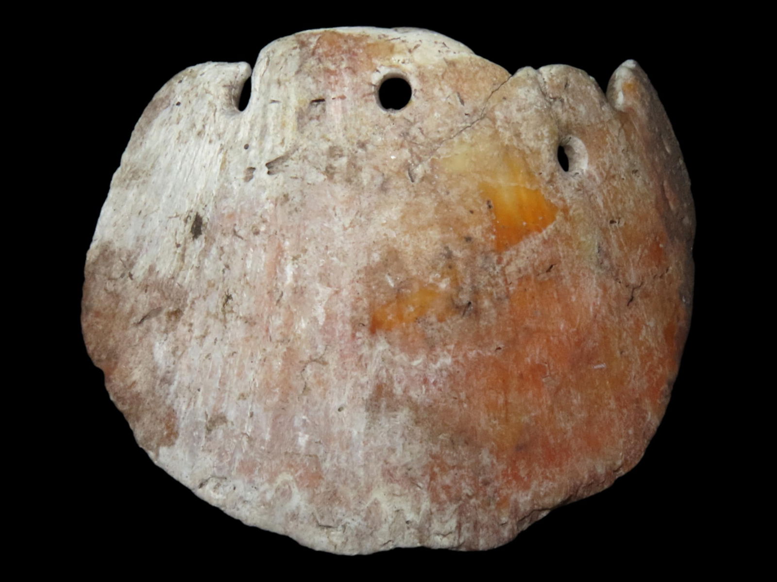 LARGE 3" CRAB EFFIGY SPONDYLUS SHELL PENDANT / GORGET, PRECOLUMBIAN, MEXICO, NICE COLORFUL EXAMPLE (1 of 3)