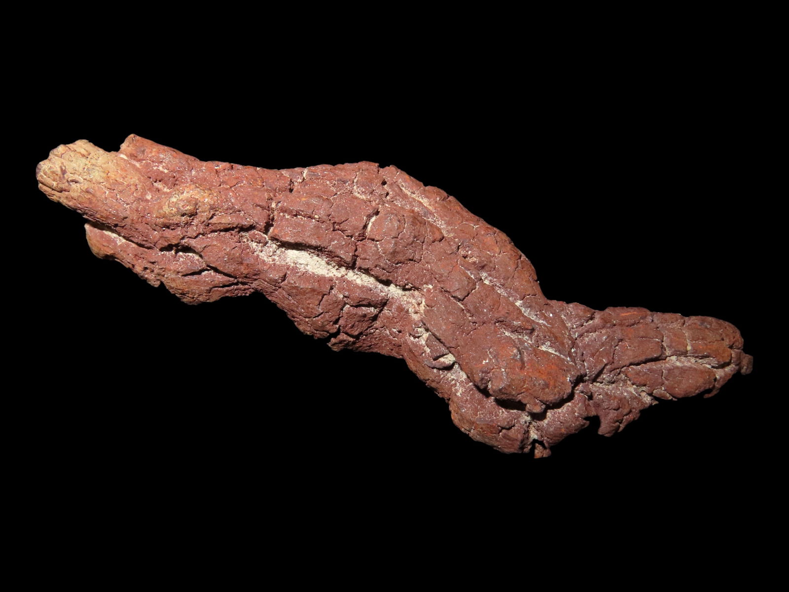 LARGE DINOSAUR POOP FOSSIL, COPROLITE, APPROXIMATELY 100 MILLION YEARS OLD, FOSSILIZED DINO DUNG (1 of 4)