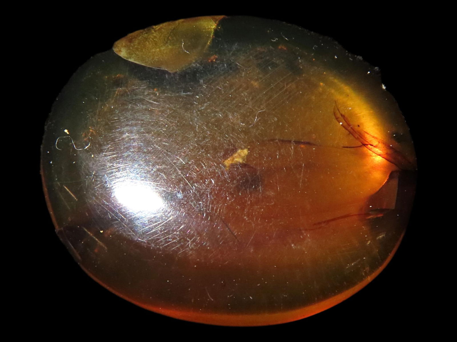 FOSSIL AMBER WITH ENCASED INSECT, 100 MILLION YEARS OLD, FOUND IN THE HUKAWNG VALLEY, BURMA-MYANMAR,: FOSSIL AMBER WITH ENCASED INSECT, 100 MILLION YEARS OLD, FOUND IN THE HUKAWNG VALLEY, BURMA-MYANMAR, BURNITE, BURMESE AMBER,