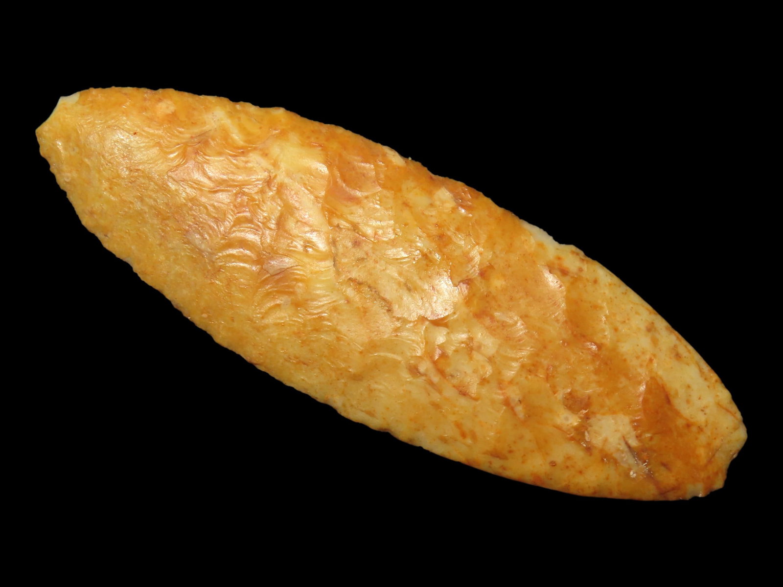 3 1/4" Angostura, Motley COA, Found in Iowa (1 of 4)