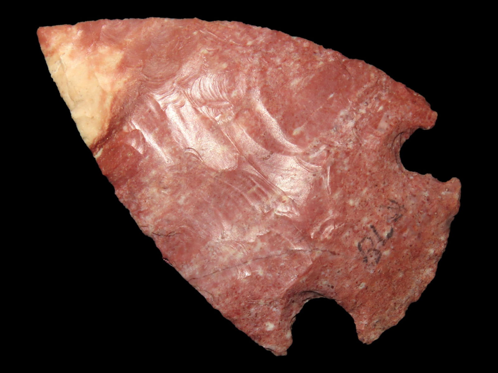 Beautiful 2 9/16" Snyders, Meadows COA, Found in Montgomery Co. Missouri (1 of 4)