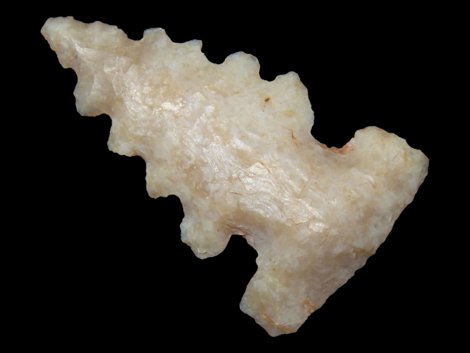 1 1/4" Cahokia Found in Madison Co. Illinois (1 of 4)