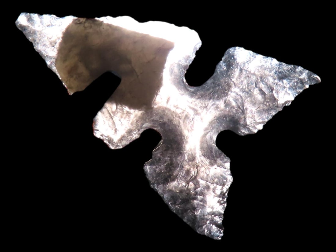 1" Northern Wolf Ear Found in Inyo Co. California by Dan Young (1 of 5)