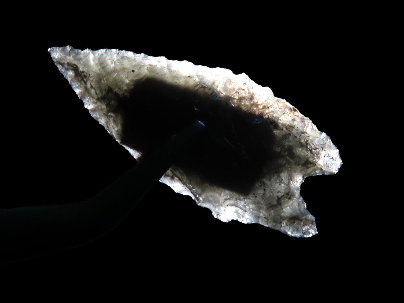 1 1/2" Obsidian Arrowhead Found in Inyo Co. California by Dan Young (1 of 5)