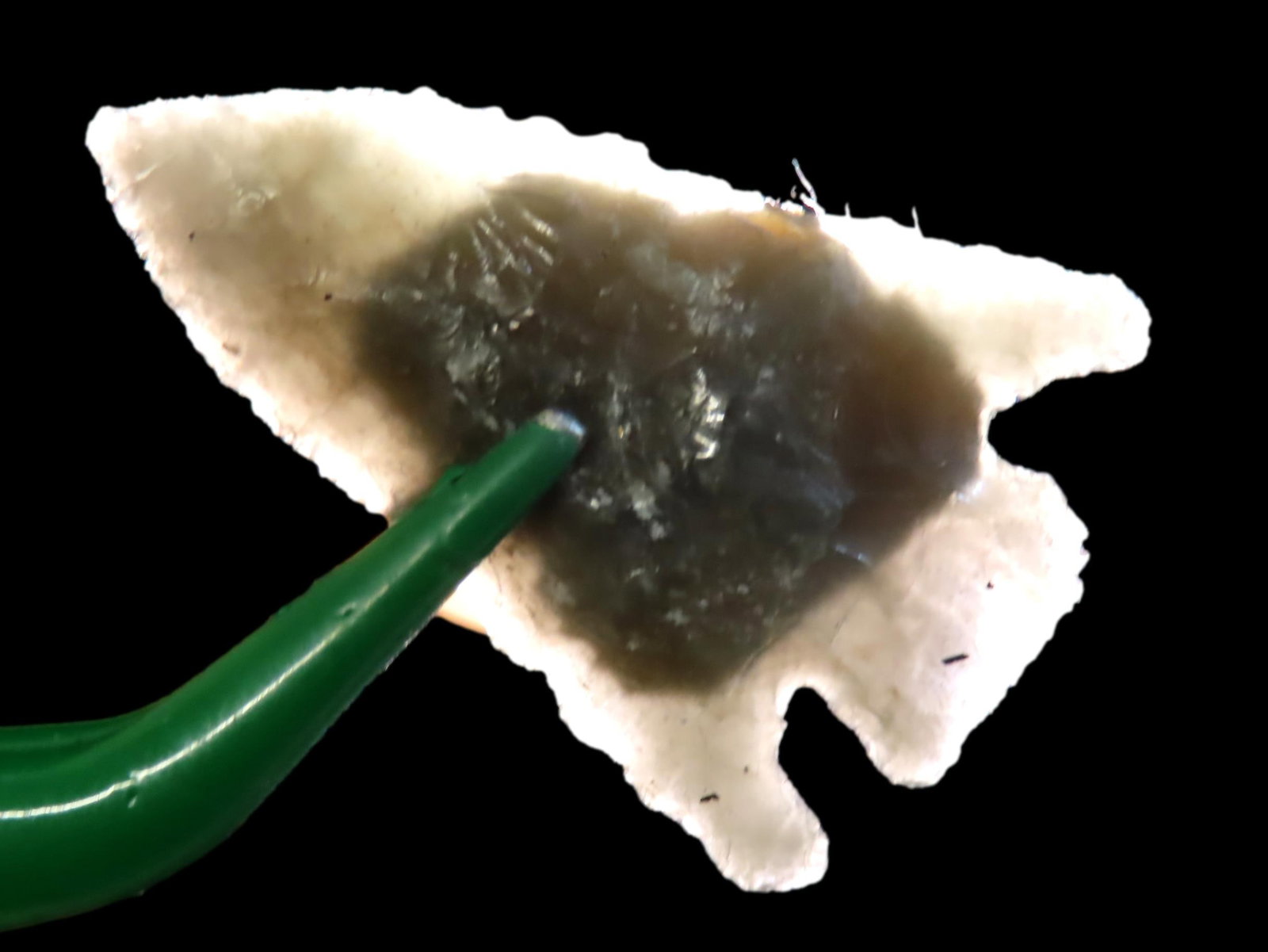 1 1/4" Obsidian Arrowhead Found in Inyo Co. California by Dan Young (1 of 5)