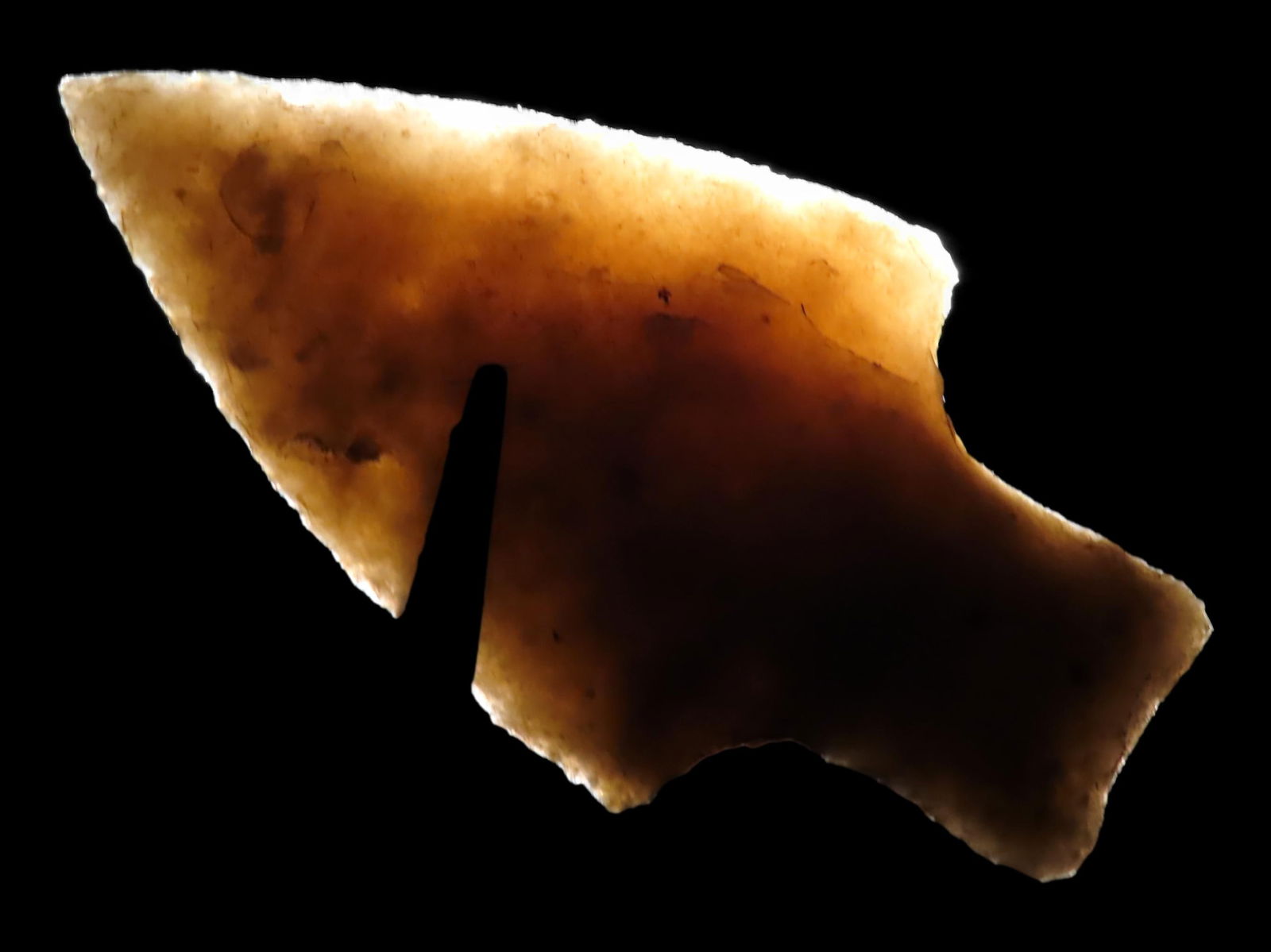 2 5/8" Nolan Found Near Comanche Texas (1 of 5)