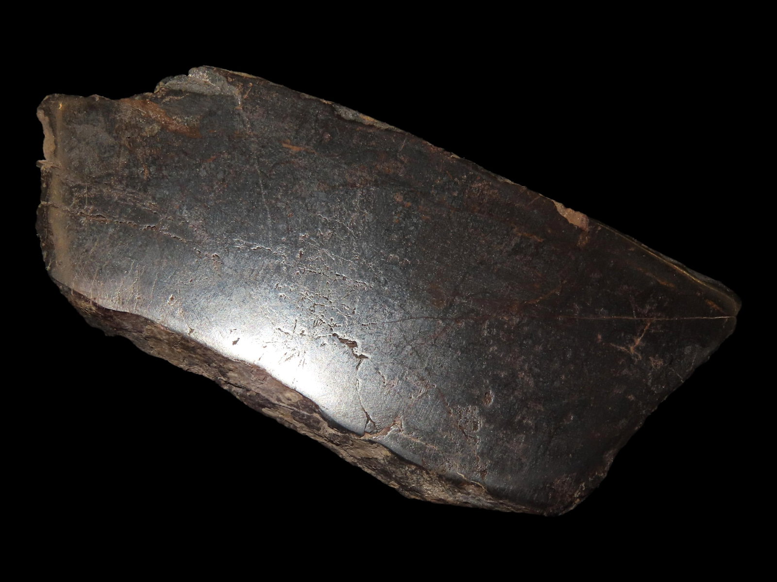 5" 198 Gram Campo Del Cielo Meteorite From Argentina Sliced and Polished for Display (1 of 4)