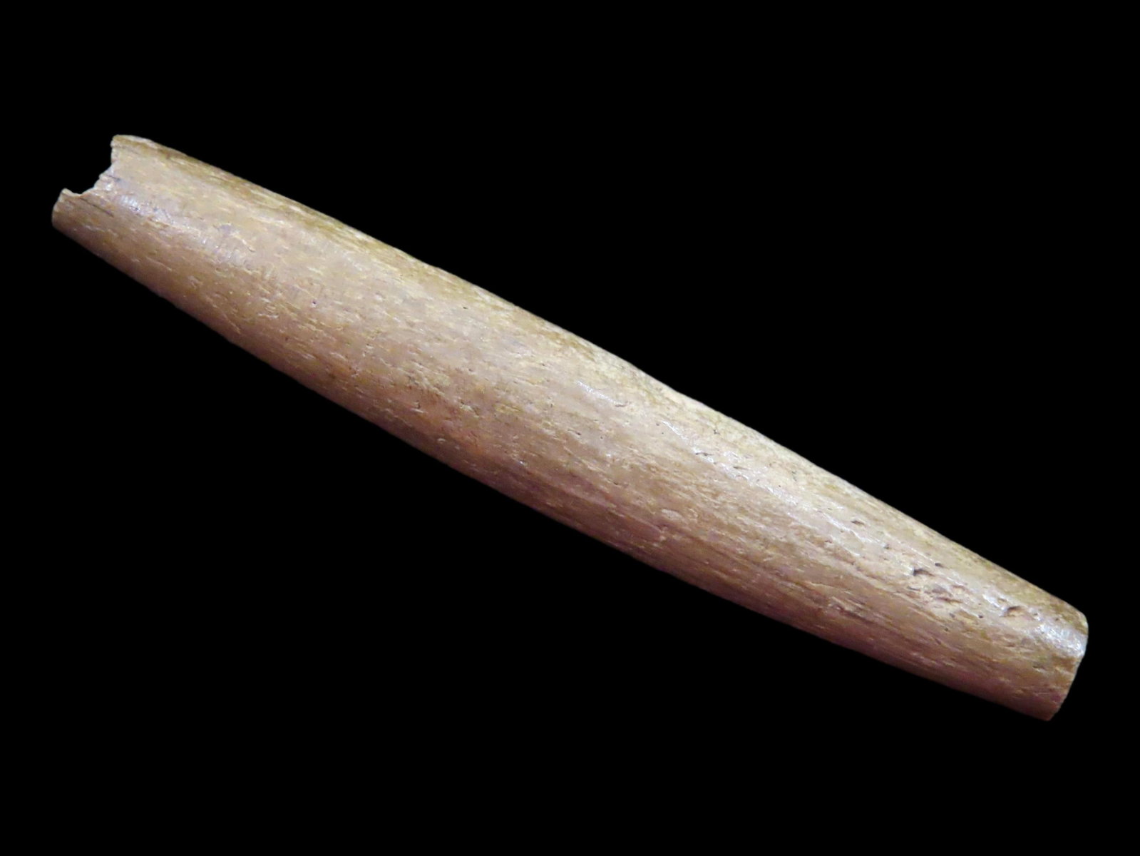 1 7/8" Authentic Bone Bead Found in Adams Co. Illinois Near Payson Illinois, Ex Vahle: 1 7/8" Authentic Bone Bead Found in Adams Co. Illinois Near Payson Illinois, Ex Vahle, Auctioning as Authentic & Unaltered Condition: AUCTIONING AS AUTHENTIC/UN-ALTERED