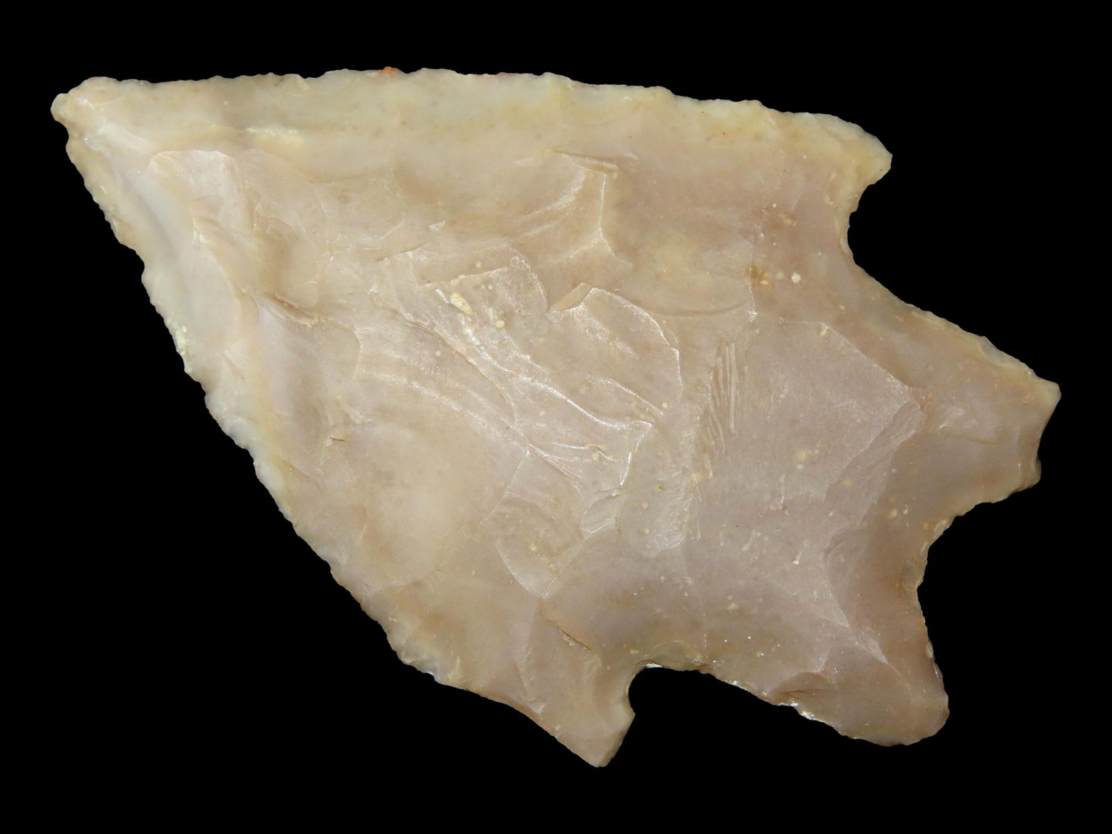 2 5/16" Texas Pedernalas Point Ex Partain (1 of 5)