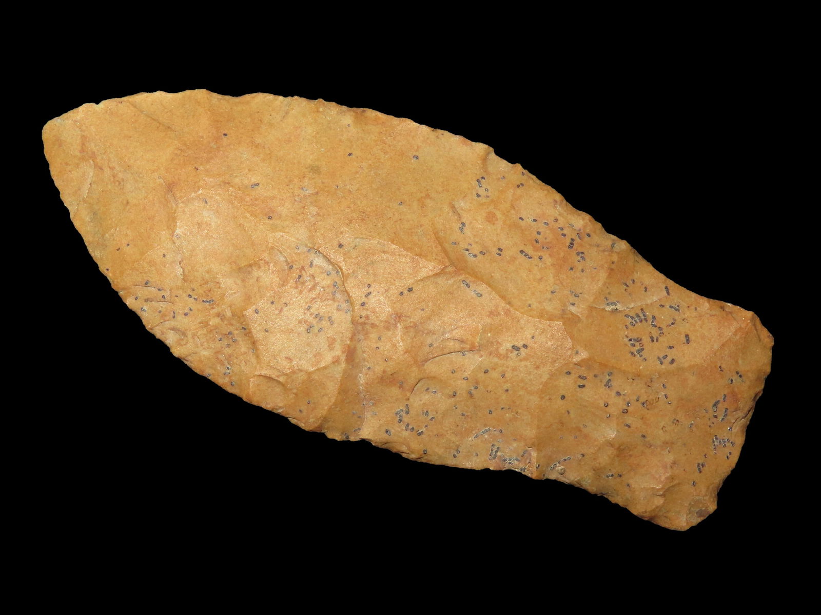 3.7/16" Copena, Central Mississippi, Ex Dickey (1 of 5)