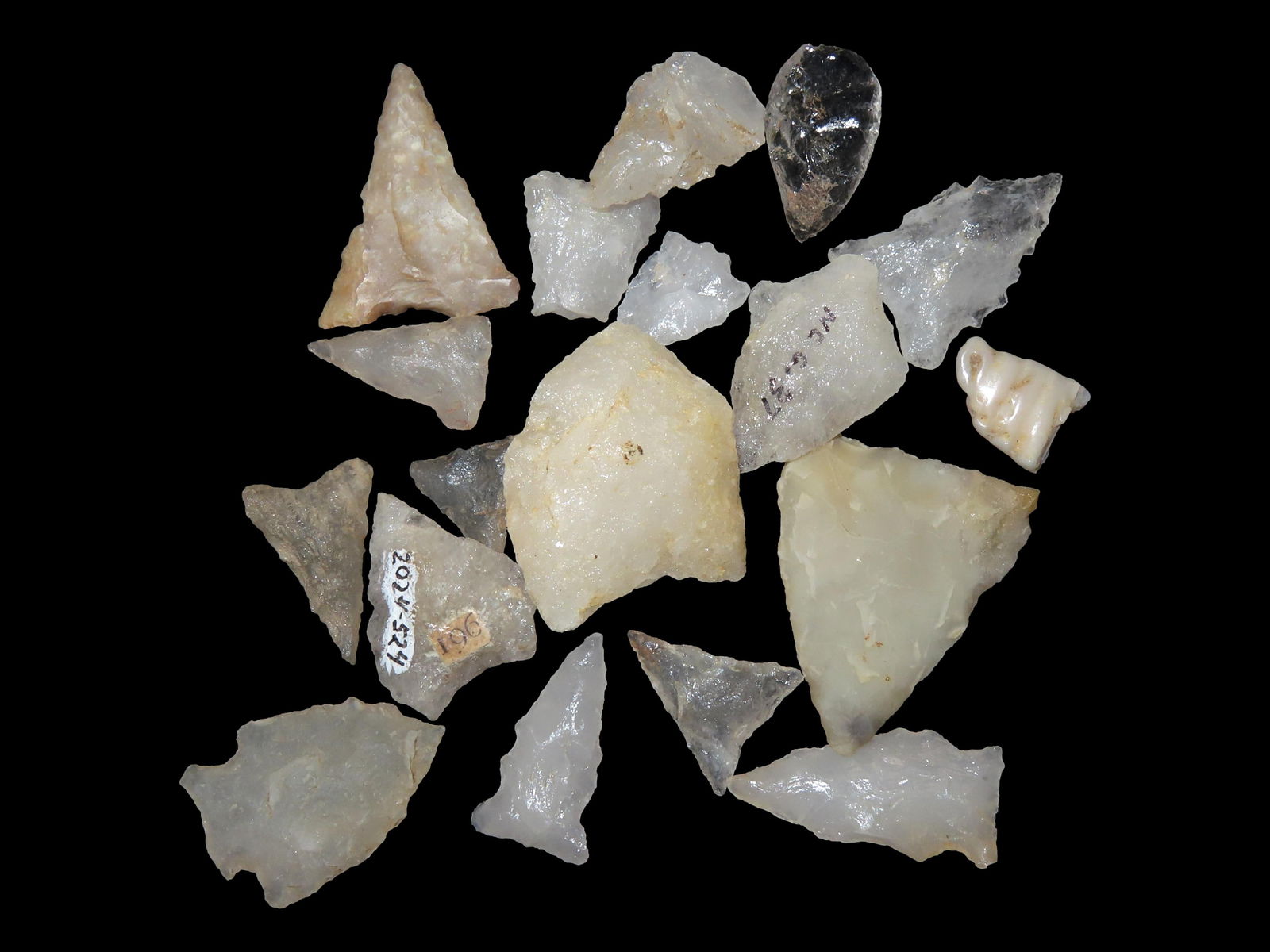Collection of Quartz arrowheads found in North Carolina One Paleo / Clovis (1 of 6)