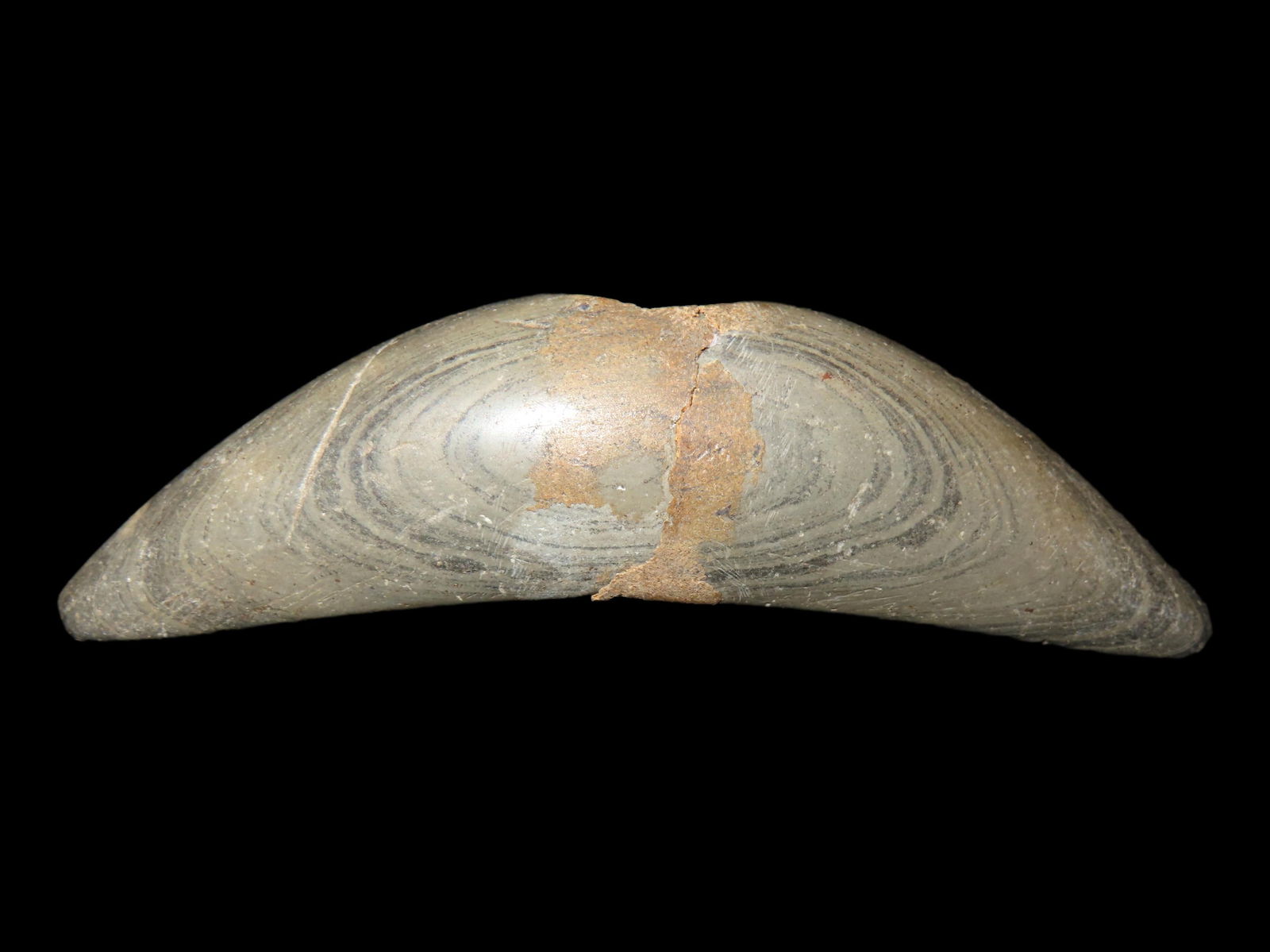 4 5/8" Pick Bannerstone Broken at the Hole and Restored, Found in Central Indiana (1 of 7)