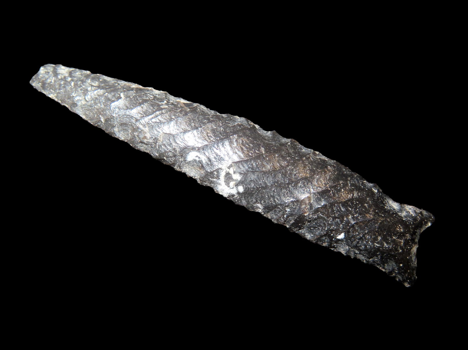 2.3/4" Ribbon Flaked Paleo Point found in Nevada (1 of 4)