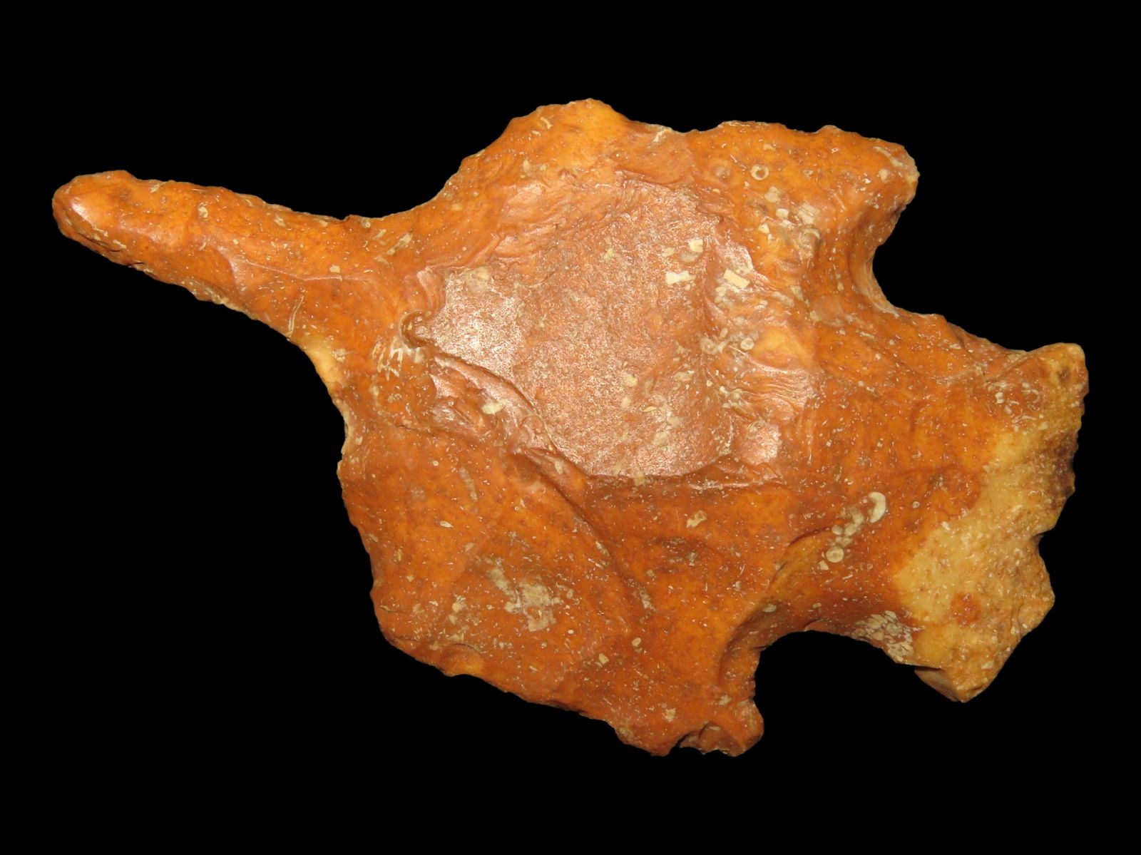 3 1/4 Creek stained Etley Drill found in Pike Co., Missouri (1 of 4)