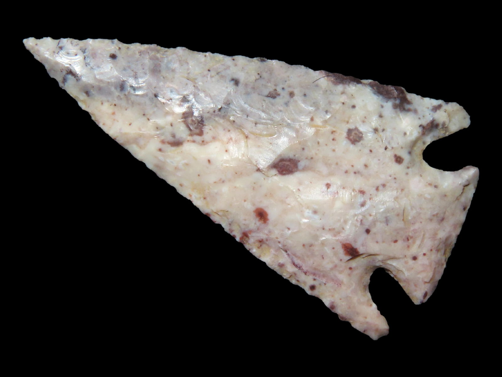 1 3/8" Phenomenal Corner Notched Birdpoint found in Boone County Missouri, One of Jake Vahle's Fines (1 of 4)