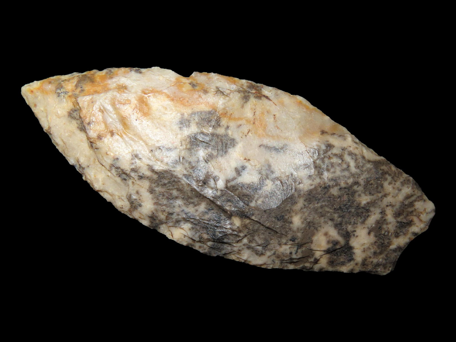 3" Hell Gap, Davis/Motley COA, Found in Wyoming (1 of 4)