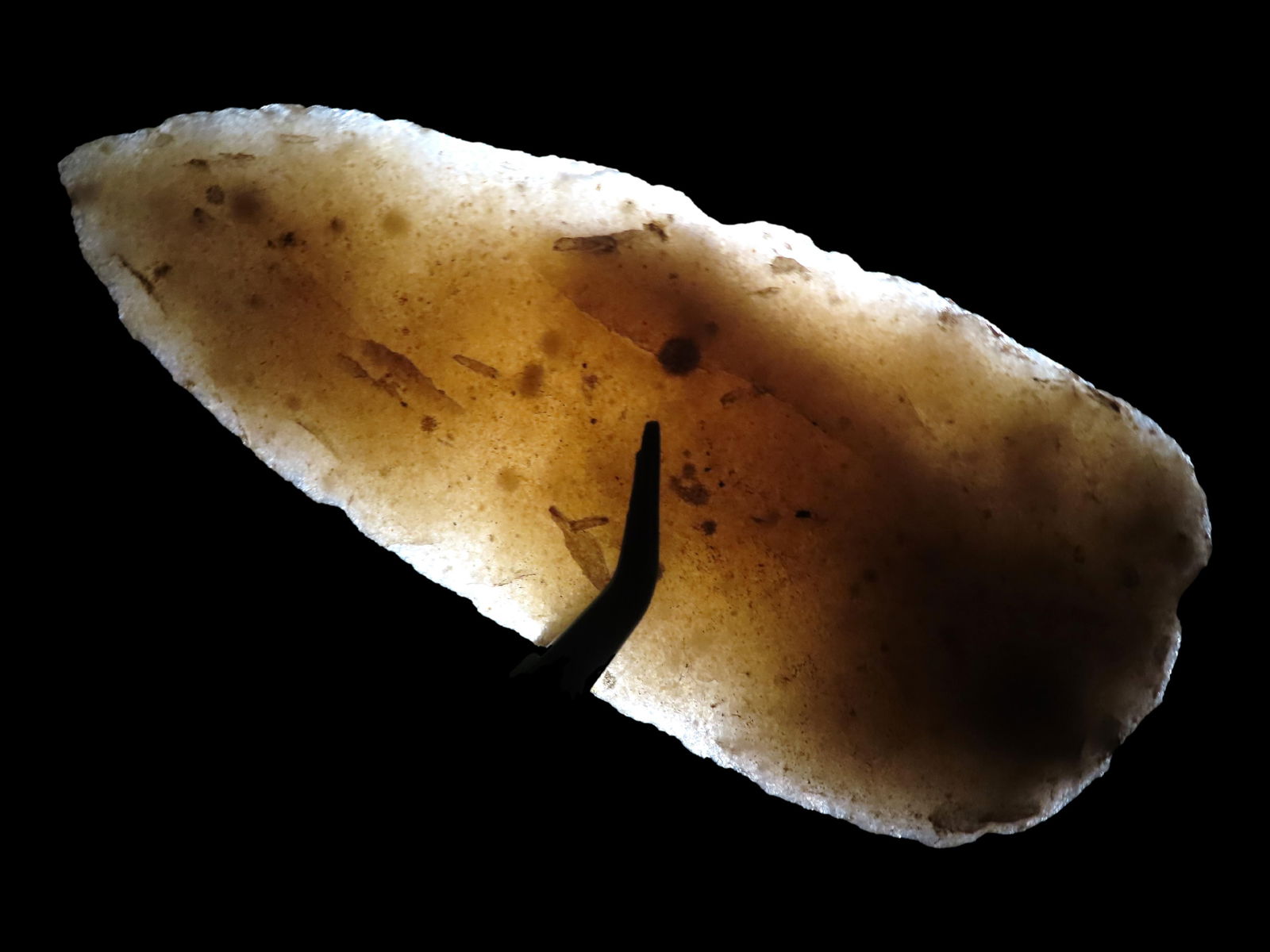 5 1/4" Translucent Hixton Cobbs Knife, Motley COA, Found in Wisconsin (1 of 6)