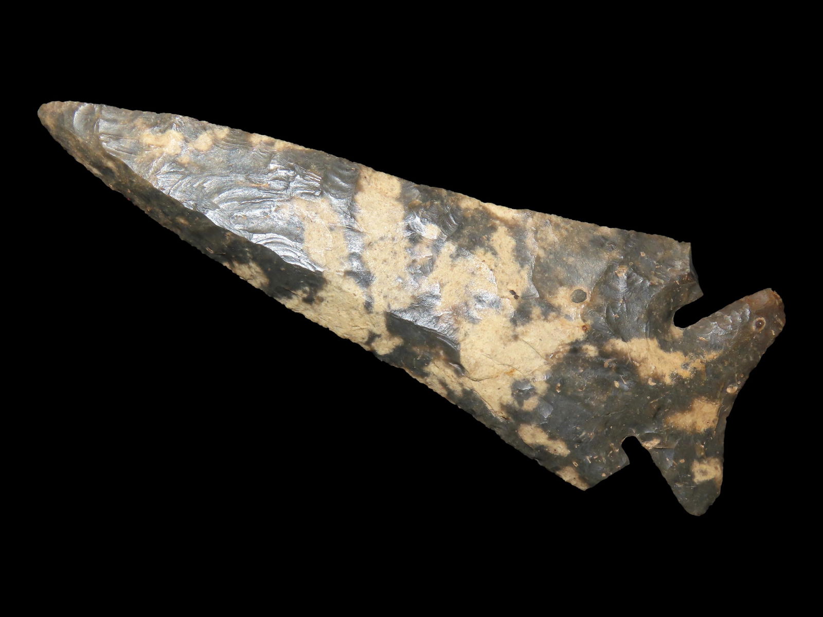 5 7/16" Lost Lake, Dickey/Motley COA, Found in Hancock Co. Illinois near Warsaw, Ex Tommy Beute (1 of 12)