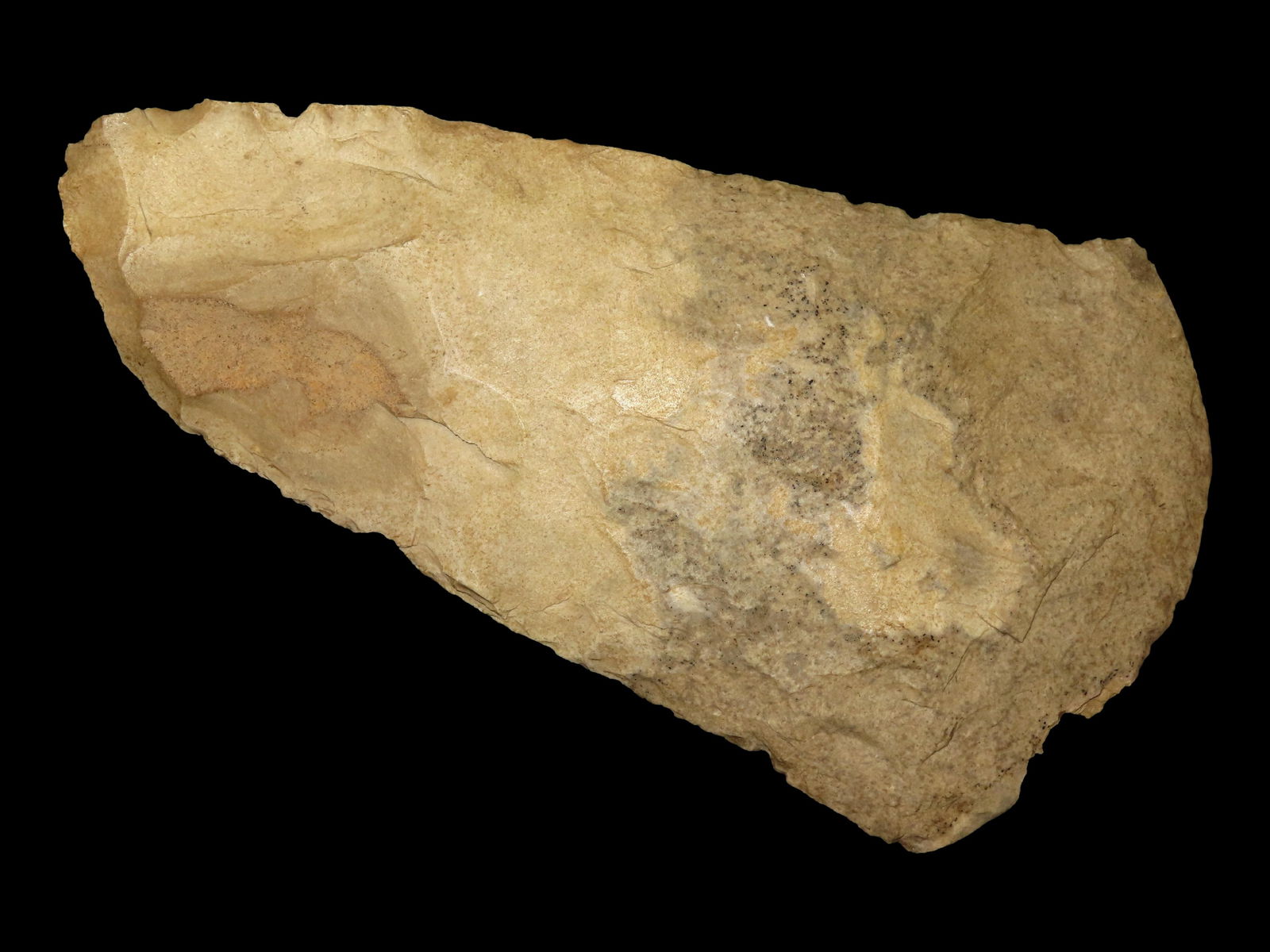 10" Flare Bit Spade, Motley COA, Found in Illinois (1 of 8)