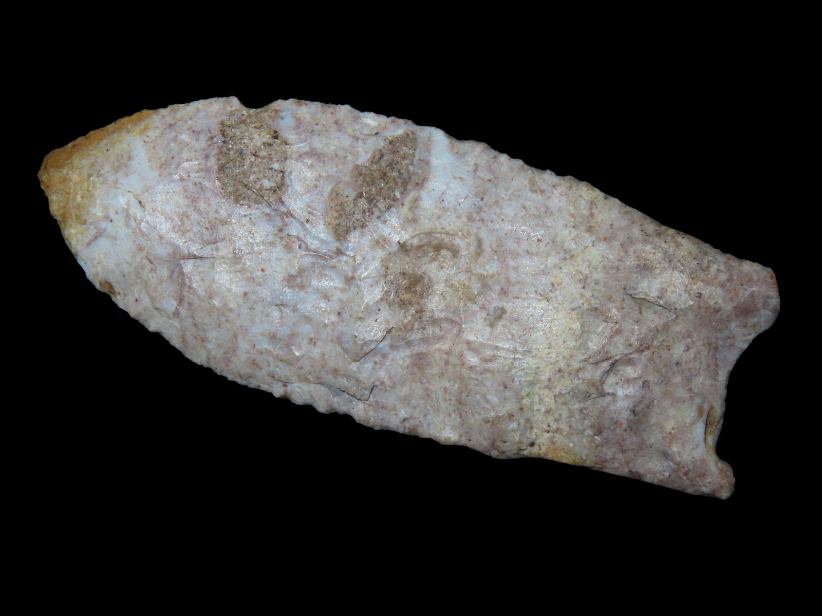 3 1/2" Pike County/Beaver Lake, Midland, Dickey/Stermer COA, Found by Bill and Bessi Sailer, in Lee (1 of 4)