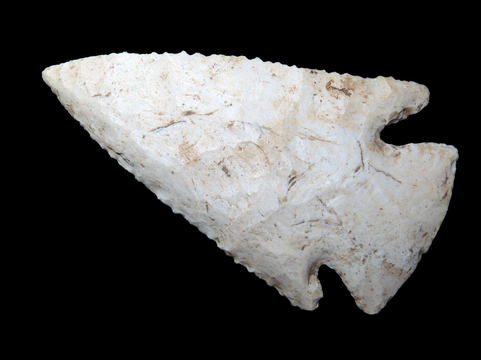 2 7/8" Dovetail, Motley COA, Found in Illinois, Ex Nick Gatses (1 of 5)