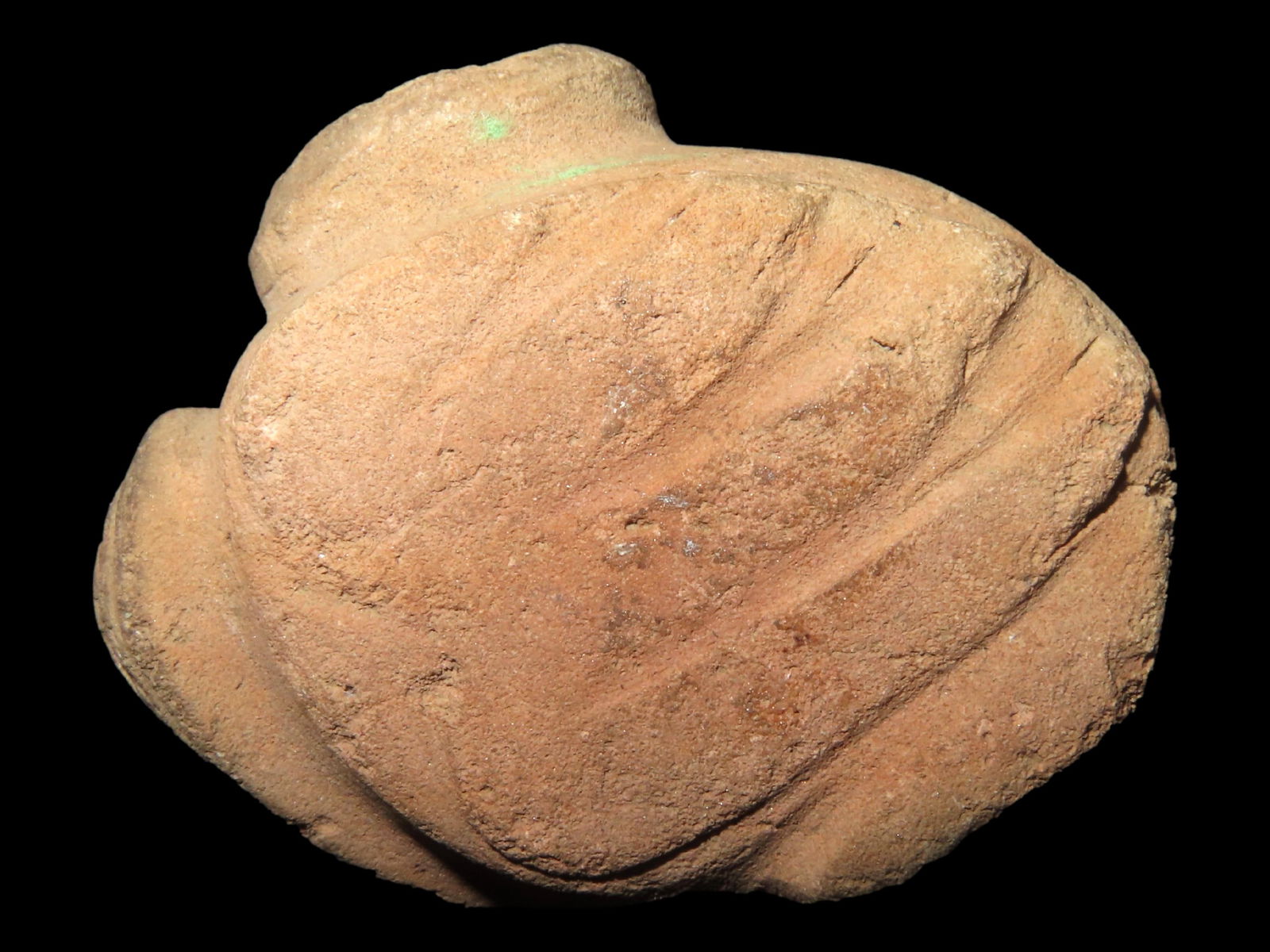 1 15/16" Mississippian Pipe Effigy Preform, Motley COA, Found in Tennessee (1 of 6)