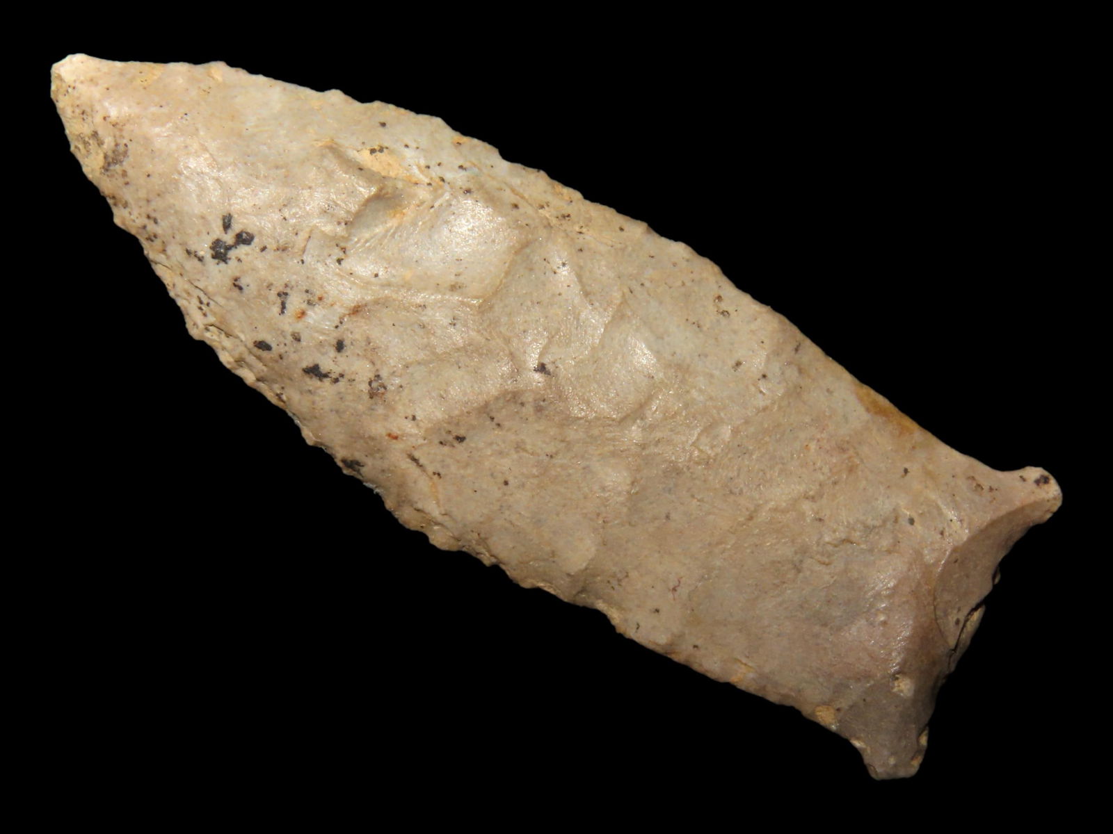 2 5/16" Beaver Lake, Dickey COA, Found in Lauderdale Co. Alabama, Ex Bill Pettit (1 of 5)