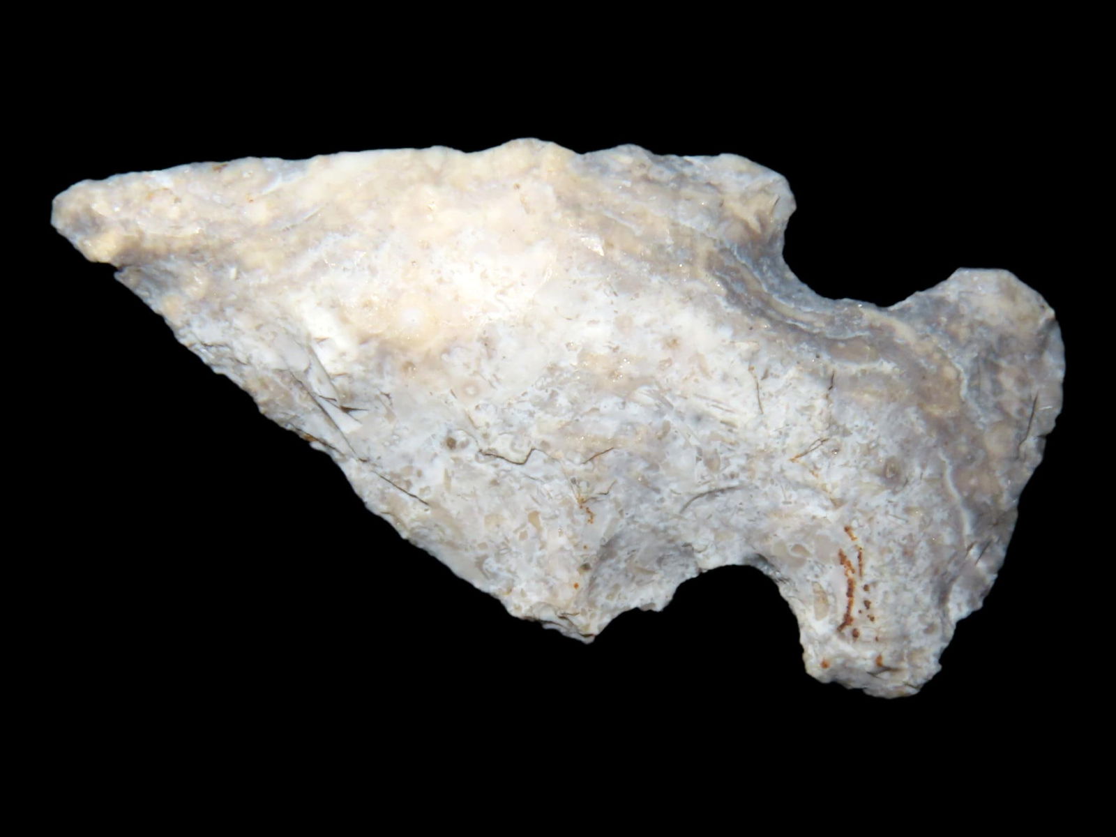 1 1/8" Birdpoint, Found by Eddie Wilcox in Lima Lake, Adams Co. Illinois (1 of 4)