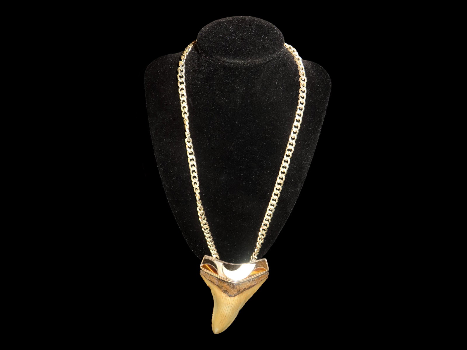 Stirling Silver Megalodon Shark tooth Necklace: Stirling Silver Megalodon Shark tooth Necklace