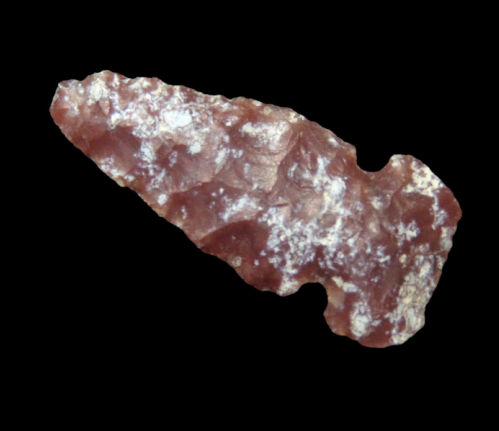 1" Gem Agate Huffaker Found in South Dakota: 1" Gem Agate Huffaker Found in South Dakota