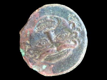 Lot of 1 Coin, Sicily Kawariua 413-405 B.C.