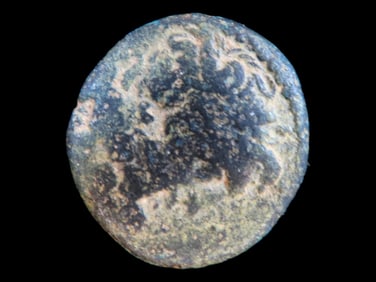 Lot of 1 Coin, Antioch, Syria time of Augustus 13/14 AD