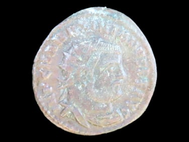 Lot of 1 Coin, Poland 6 groszy 1650.