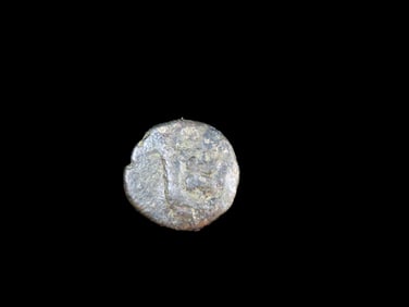 Lot of 1 Coin, Panormus, Sicily 254 BC