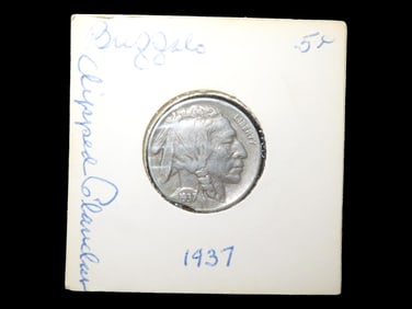 Lot of 1 Coin, USA 5 cents, Buffalo Nickel 1913-1938, (1937- chipped).
