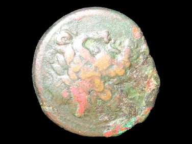 Lot of 1 Coin, Italy Brettian Lragur 215-205 B.C.