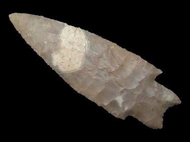 4 5/8" Outstanding Pedernales / Perd, Motley COA, Uvalde Co. Texas, Very Thin and very well Flaked