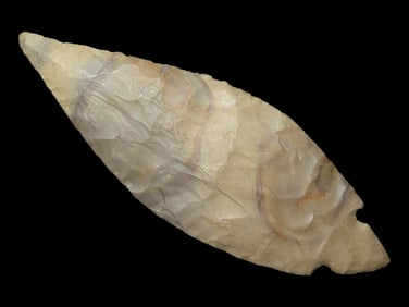 Incredible 4 15/16" Turkeytail, Motley COA, Meade County Kentucky, ex Gary Noel, made from a